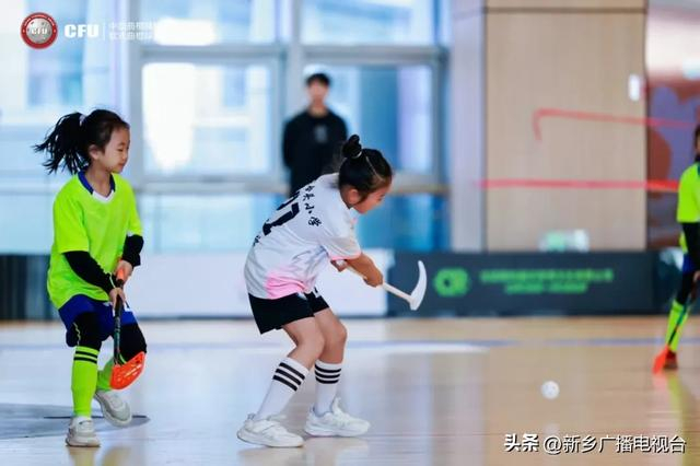 db真人平台-全国冠军!唯一乡村队!来自新乡……|曲棍球|黄河滩区|冰球|米兰冬奥会|球杆_新浪体育_新浪新闻